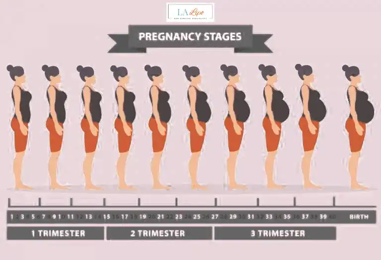 First Trimester (Weeks 1–12): Early Changes You Might Not Notice Scunthorpe